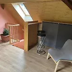 U Cizku Apartament *