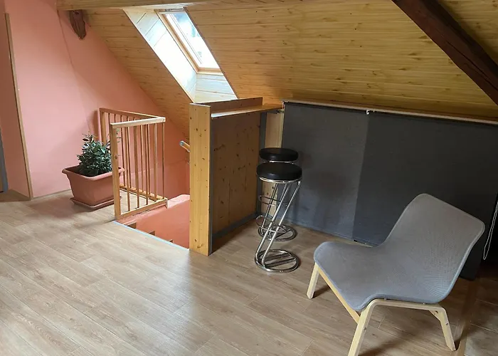 U Cizku Apartment *