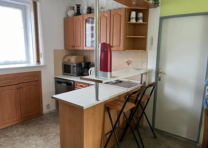 U Cizku Apartment